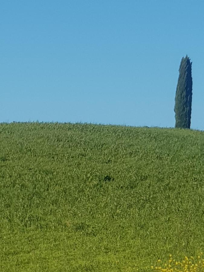 Casa Per L'Osticcio Vista Sulla Val D'Orcia Leilighet Montalcino Eksteriør bilde