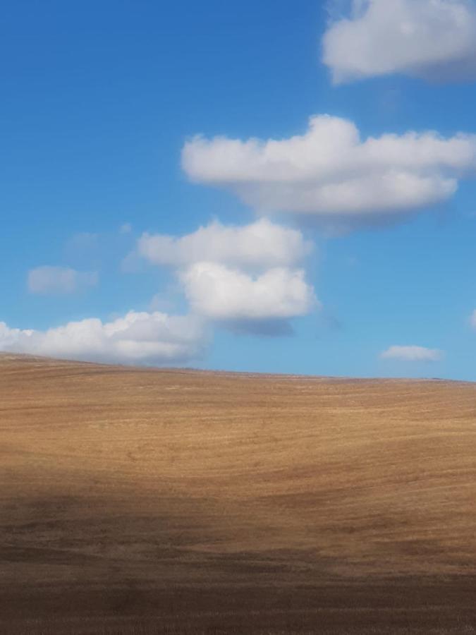 Casa Per L'Osticcio Vista Sulla Val D'Orcia Leilighet Montalcino Eksteriør bilde