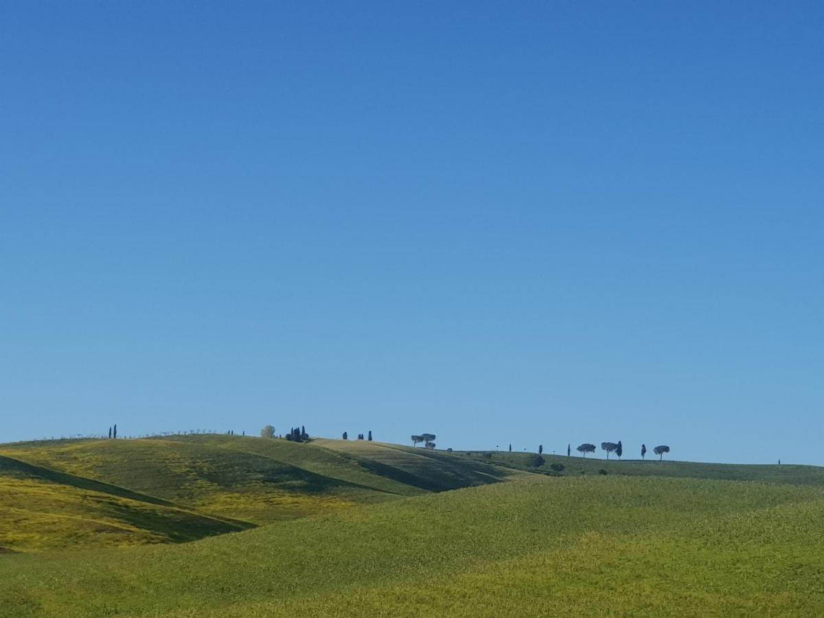 Casa Per L'Osticcio Vista Sulla Val D'Orcia Leilighet Montalcino Eksteriør bilde