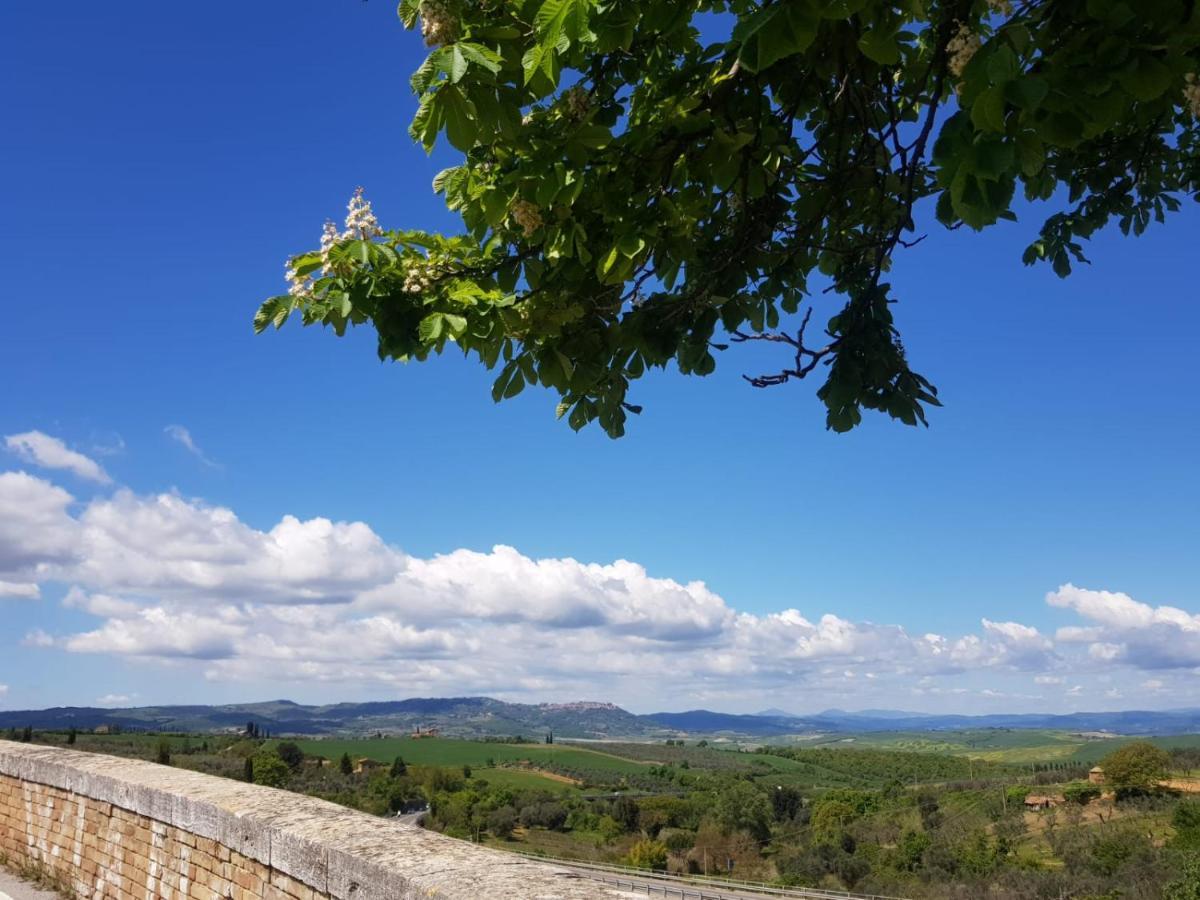 Casa Per L'Osticcio Vista Sulla Val D'Orcia Leilighet Montalcino Eksteriør bilde