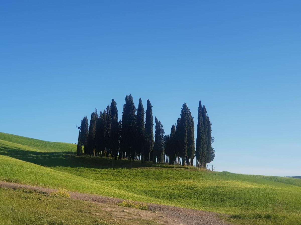 Casa Per L'Osticcio Vista Sulla Val D'Orcia Leilighet Montalcino Eksteriør bilde