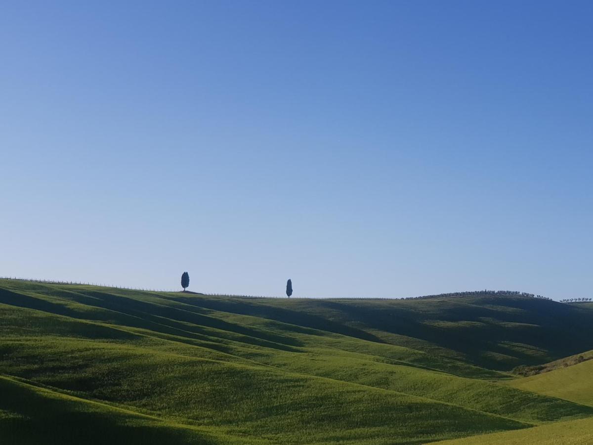 Casa Per L'Osticcio Vista Sulla Val D'Orcia Leilighet Montalcino Eksteriør bilde