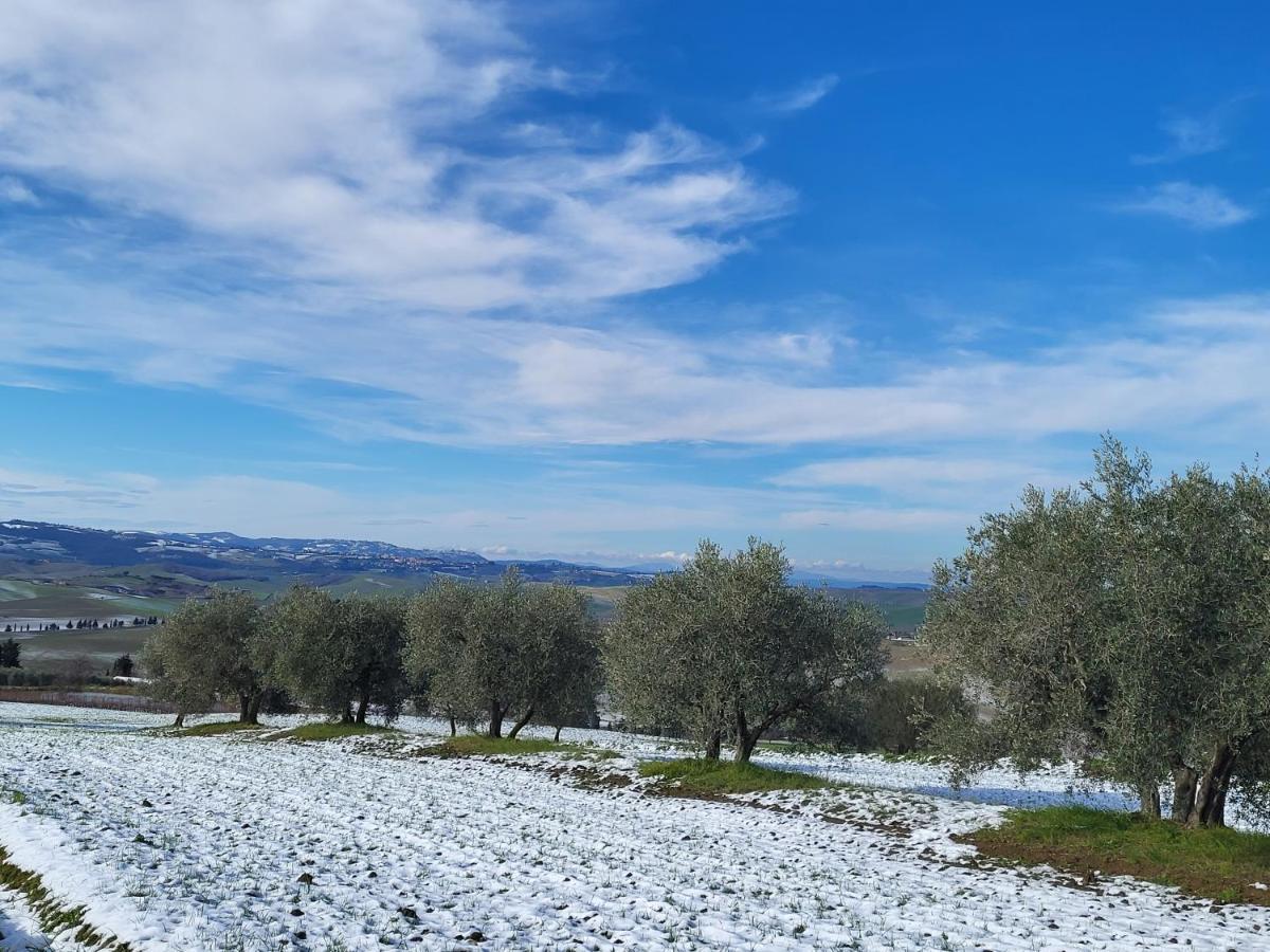 Casa Per L'Osticcio Vista Sulla Val D'Orcia Leilighet Montalcino Eksteriør bilde