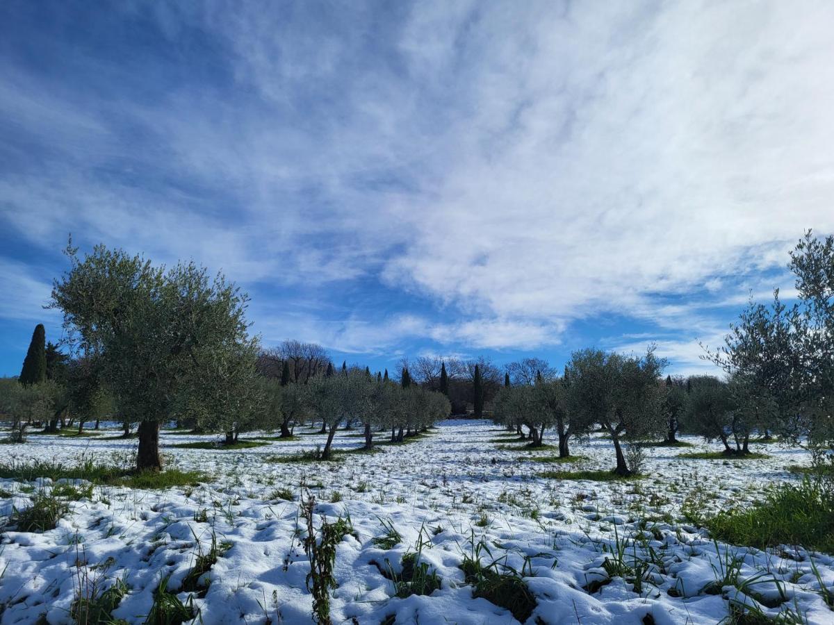 Casa Per L'Osticcio Vista Sulla Val D'Orcia Leilighet Montalcino Eksteriør bilde