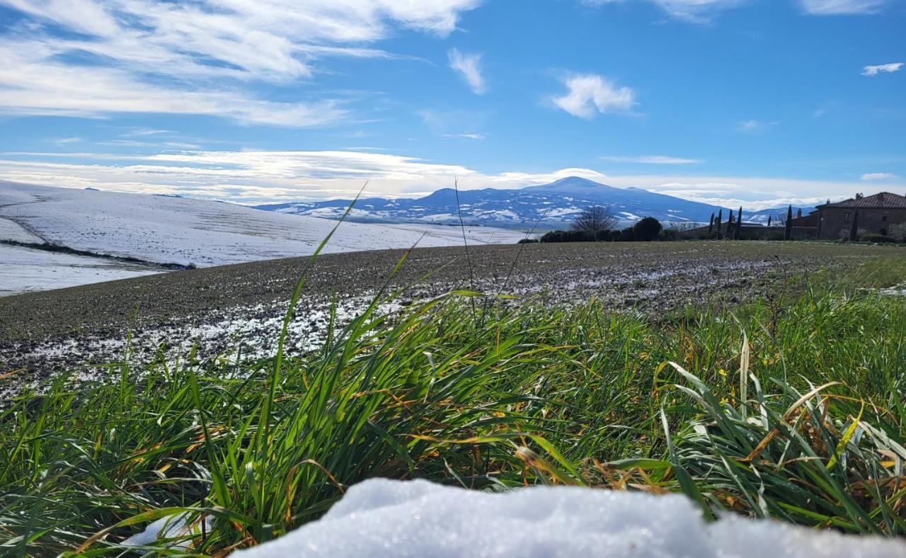 Casa Per L'Osticcio Vista Sulla Val D'Orcia Leilighet Montalcino Eksteriør bilde