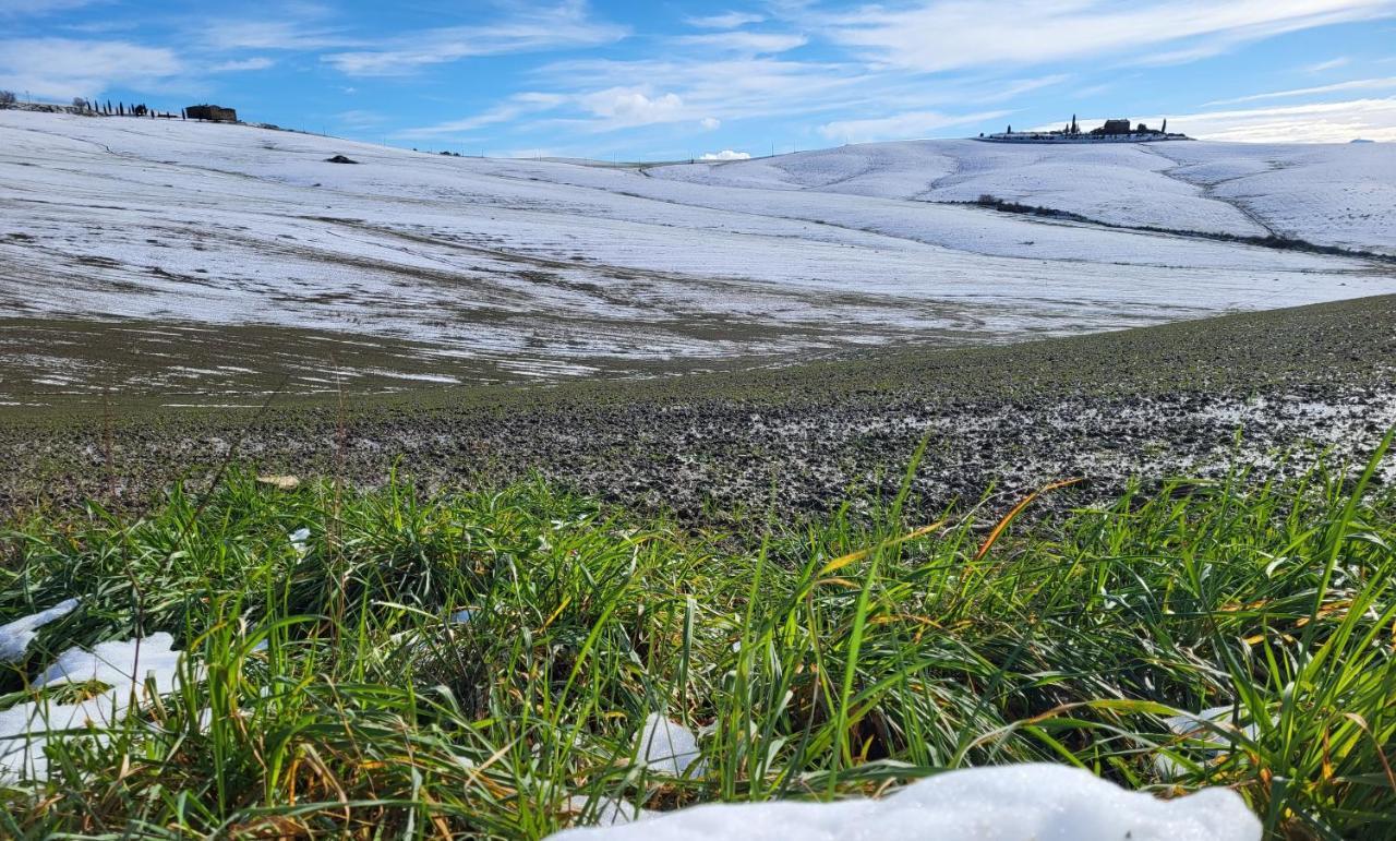 Casa Per L'Osticcio Vista Sulla Val D'Orcia Leilighet Montalcino Eksteriør bilde